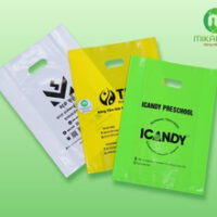 in túi hột xoài PE, PP, HD giá rẻ mikapack