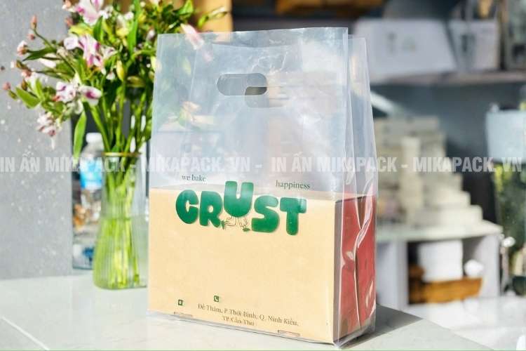 Túi nilon trong là lựa chọn phổ biến cho một số ngành hàng.