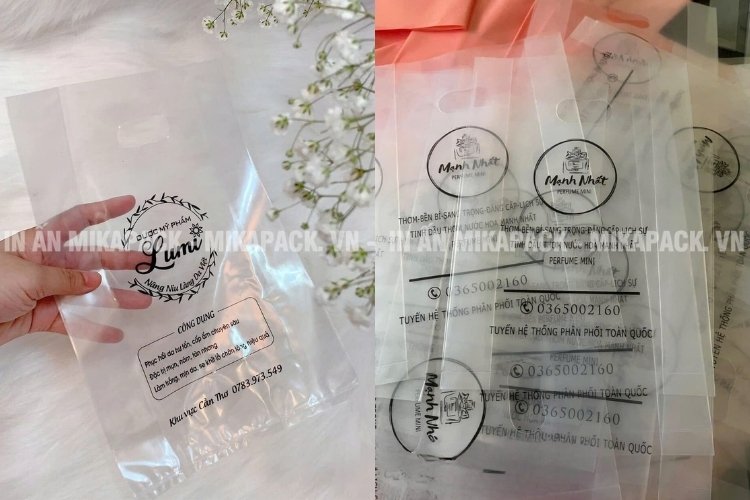Thiết kế bao bì in ấn từ chất liệu PP.