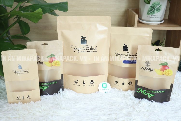 Mẫu thiết kế bao bì túi giấy đựng trái cây sấy.
