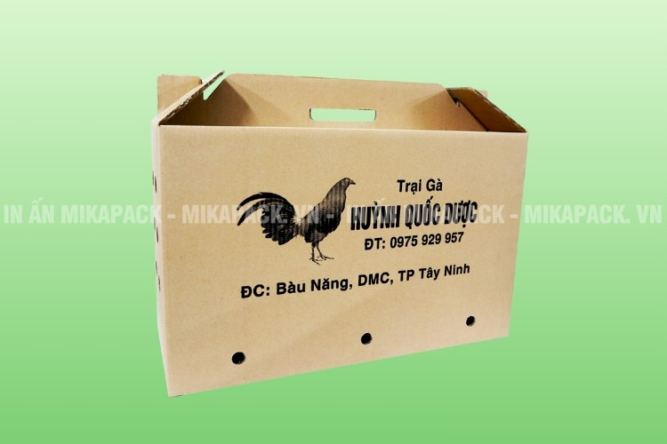 Thùng carton 5 lớp cứng cáp, in ấn đẹp, bảo vệ tối ưu.