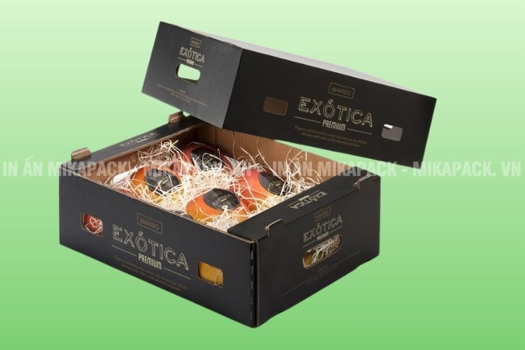 Thùng carton 7 lớp cao cấp chuyên đóng hoa quả xuất khẩu.