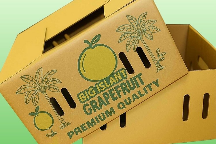 Giấy in lớp mặt khi in thùng carton offset quyết định 80% thẩm mỹ.