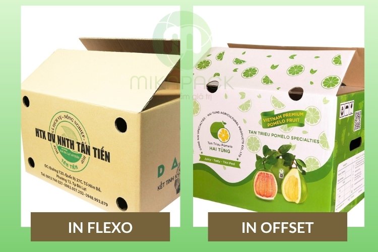 Sự khác biệt của thùng carton in flexo và in offset.