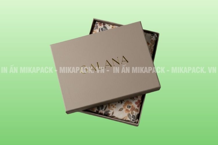 Mẫu in hộp giấy sang trọng, ép kim logo ấn tượng