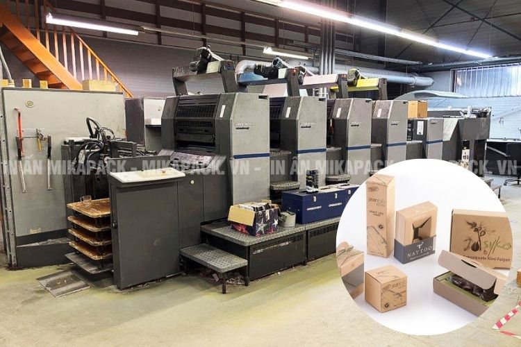 Mikapack - Xưởng in hộp giấy uy tín hàng đầu thị trường